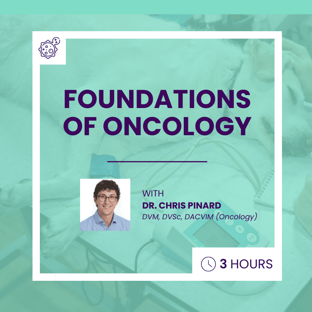 Foundations of Oncology