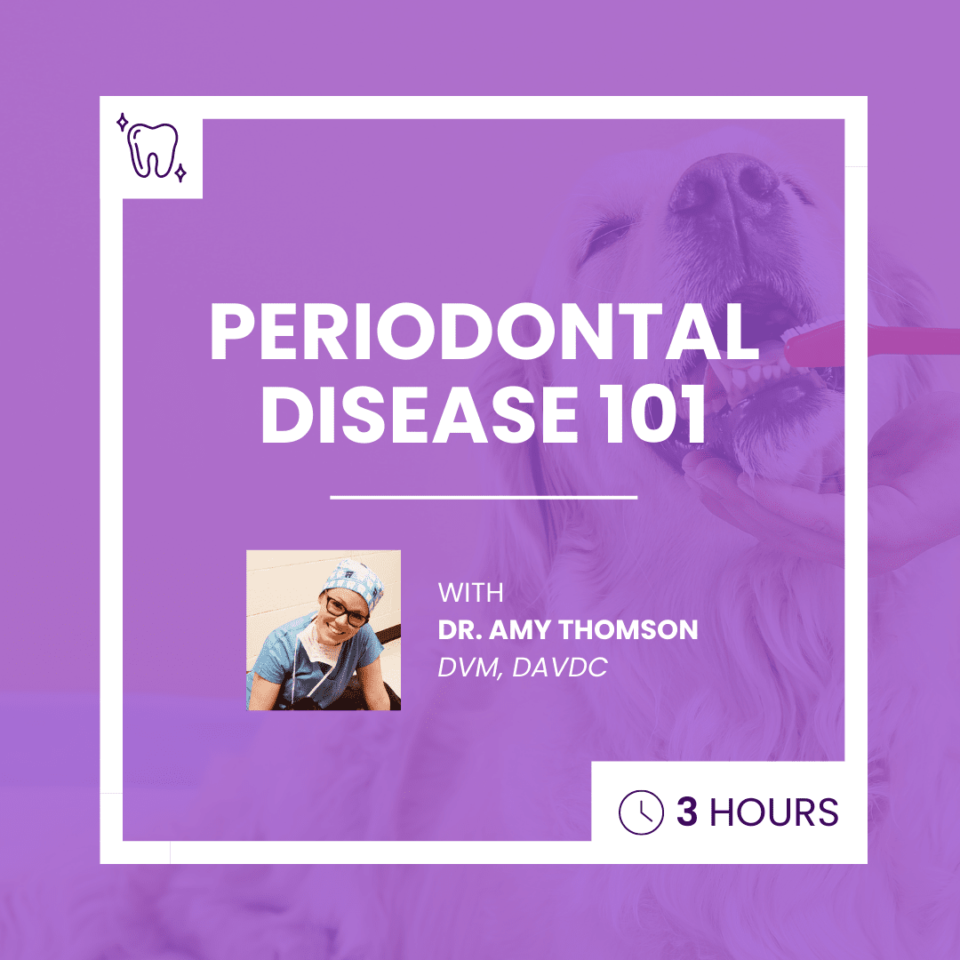 Periodontal Disease 101