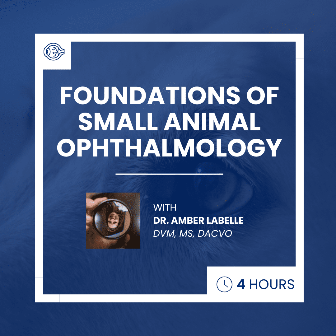 Foundations of Small Animal Ophthalmology