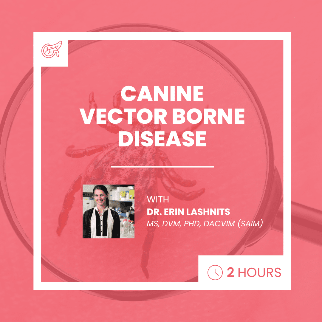 Canine Vector Borne Disease